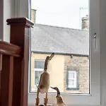Dom wakacyjny Dales Edge - *
